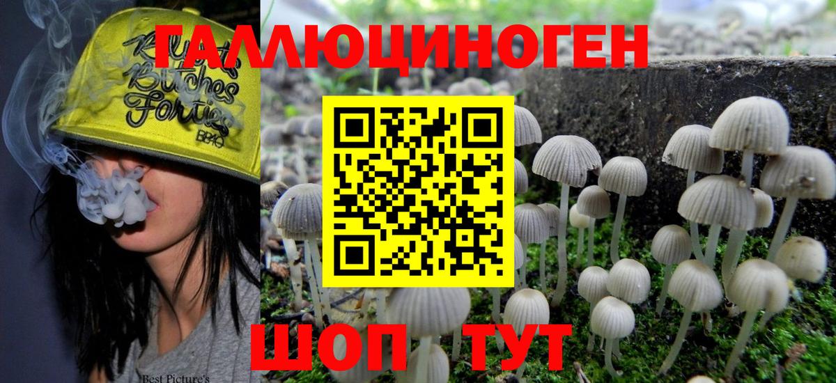 Кириши  Галлюциногенные грибы MAGIC MUSHROOMS  Галлюциногенные грибы мицелий  Вход с VPN 