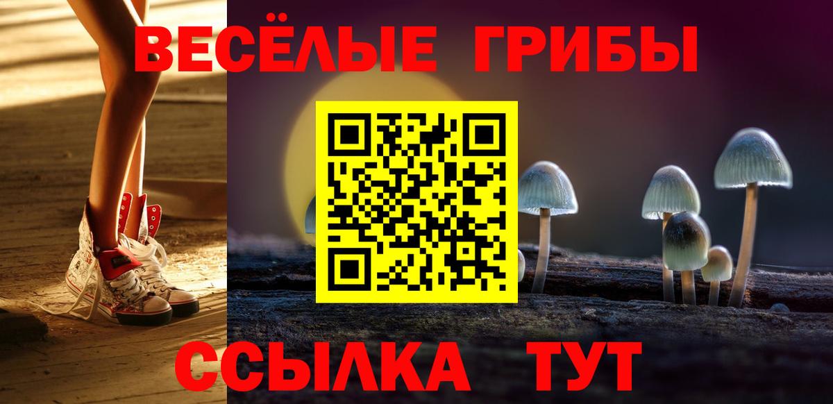 Галлюциногенные грибы GOLDEN TEACHER Кириши