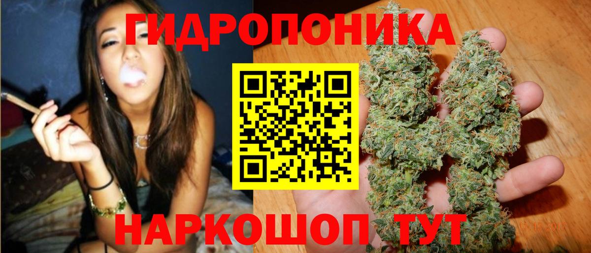 Бошки марихуана SATIVA & INDICA  Вход с VPN  Кириши  Бошки марихуана Bruce Banner 